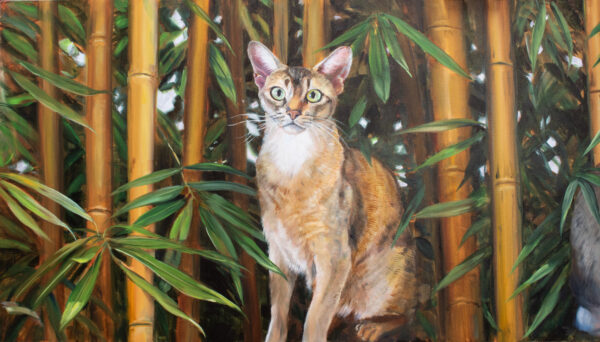 two Abyssinian cats amid a dense bamboo forest. Both cats have a sleek, short-haired coat with a mix of brown, gray, and cream tones. Their eyes are large and vivid green, giving them an alert and intense gaze. The bamboo stalks are tall and yellowish-brown, with lush green leaves surrounding the cats, creating a vibrant and natural setting. The composition captures a sense of tranquility and focus, highlighting the cats’ graceful presence within the lush vegetation.