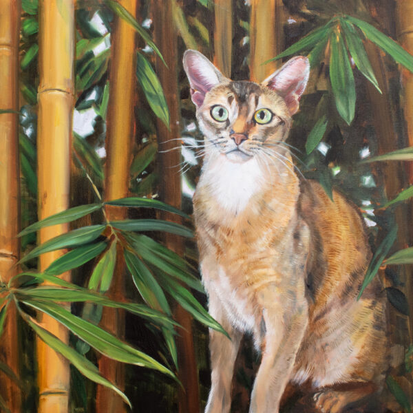 two Abyssinian cats amid a dense bamboo forest. Both cats have a sleek, short-haired coat with a mix of brown, gray, and cream tones. Their eyes are large and vivid green, giving them an alert and intense gaze. The bamboo stalks are tall and yellowish-brown, with lush green leaves surrounding the cats, creating a vibrant and natural setting. The composition captures a sense of tranquility and focus, highlighting the cats’ graceful presence within the lush vegetation.